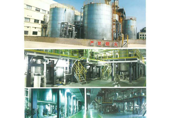 10,000 tons of continuous polymerization spandex project-Project location: Jiangsu, China-Project time: 2009